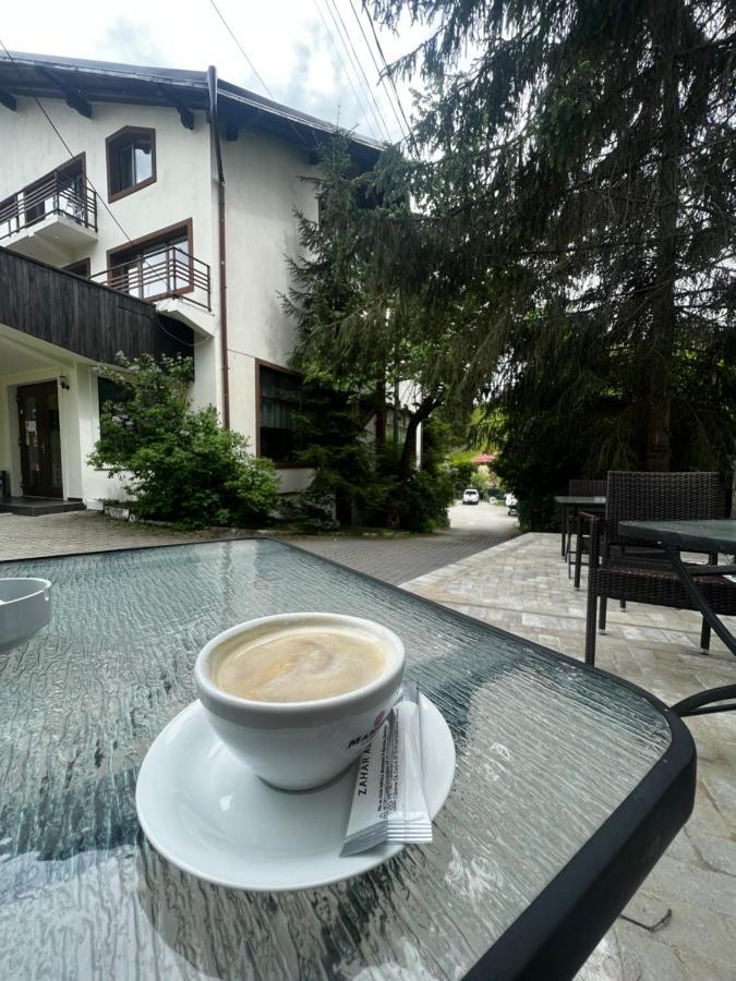 Chalet Minut Vatra Dornei Εξωτερικό φωτογραφία